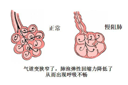 &#20964;&#20976;&#40;&#20013;&#22269;&#41;&#23448;&#26041;&#32593;&#31449;&#45;&#30331;&#24405;&#20837;&#21475;