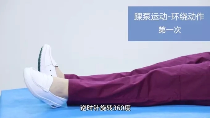 &#20964;&#20976;&#40;&#20013;&#22269;&#41;&#23448;&#26041;&#32593;&#31449;&#45;&#30331;&#24405;&#20837;&#21475;