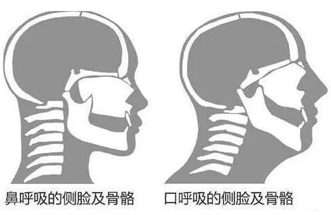 &#20964;&#20976;&#40;&#20013;&#22269;&#41;&#23448;&#26041;&#32593;&#31449;&#45;&#30331;&#24405;&#20837;&#21475;