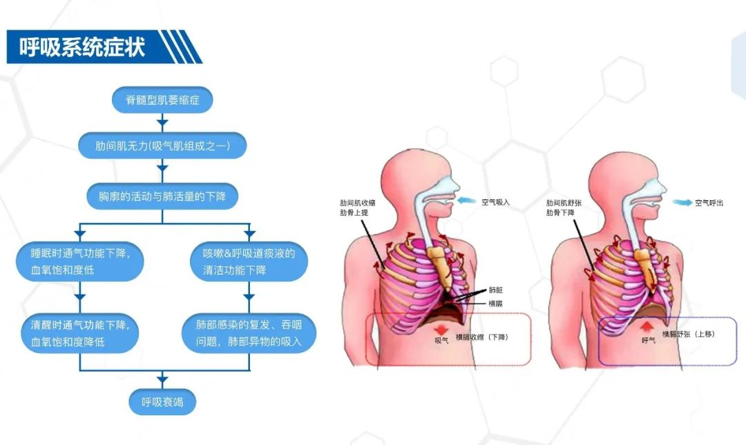 &#20964;&#20976;&#40;&#20013;&#22269;&#41;&#23448;&#26041;&#32593;&#31449;&#45;&#30331;&#24405;&#20837;&#21475;