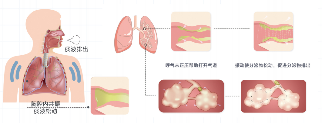 &#20964;&#20976;&#40;&#20013;&#22269;&#41;&#23448;&#26041;&#32593;&#31449;&#45;&#30331;&#24405;&#20837;&#21475;