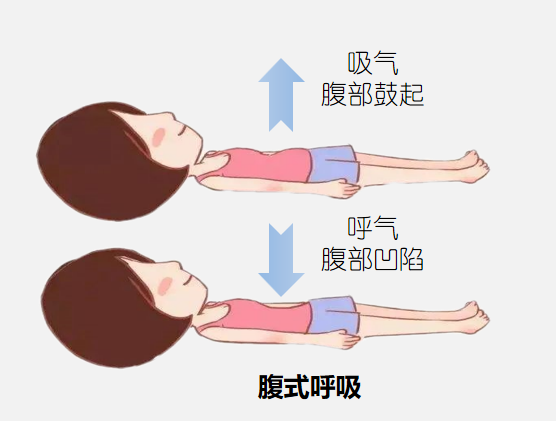 &#20964;&#20976;&#40;&#20013;&#22269;&#41;&#23448;&#26041;&#32593;&#31449;&#45;&#30331;&#24405;&#20837;&#21475;
