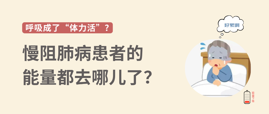 &#20964;&#20976;&#40;&#20013;&#22269;&#41;&#23448;&#26041;&#32593;&#31449;&#45;&#30331;&#24405;&#20837;&#21475;