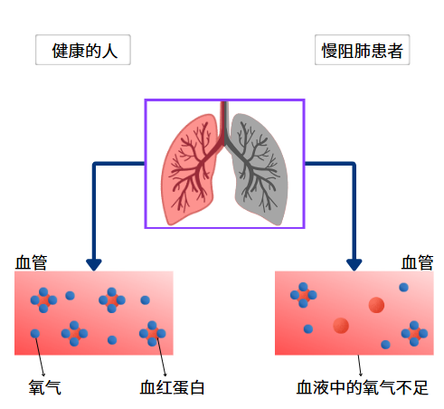 &#20964;&#20976;&#40;&#20013;&#22269;&#41;&#23448;&#26041;&#32593;&#31449;&#45;&#30331;&#24405;&#20837;&#21475;